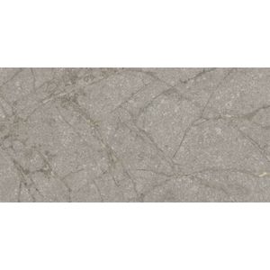 Navale Lasalle vloertegel 60x120cm grijs glans gerectificeerd