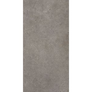 Jabo Brera Frame vloertegel bruin 30x60cm gerectificeerd