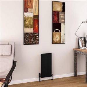 Eastbrook Charlton radiator 30x60cm aluminium 305W zwart mat