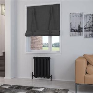 Eastbrook Rivassa 2 koloms radiator 50x60cm staal 693W zwart mat