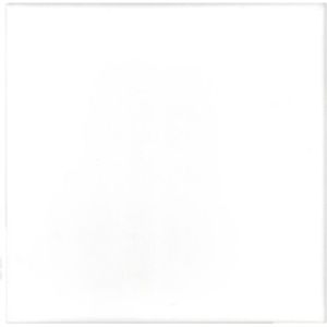 Terre d'Azur Penedes vloertegel 20x20cm wit