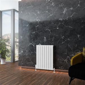 Eastbrook Addington type 10 radiator 60x80cm aluminium 811W wit glans