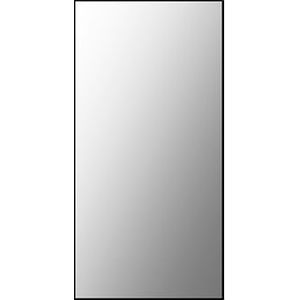 Spiegel Basic Plieger Sanitair 60x30 cm Rechthoekig