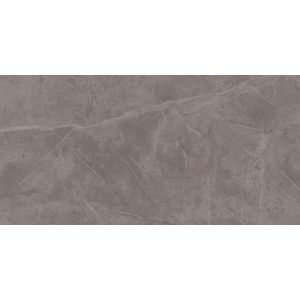 Jabo Exigo Jolie vloertegel bruin gepolijst 60x30cm gerectificeerd