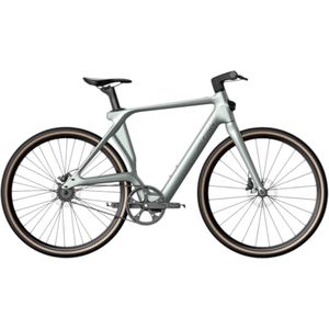 Fiido Air - Elektrische Stadsfiets - Zilver - 28 inch - XL (185cm - 205cm) - Belt Drive - Accu 209Wh (36V) - 250W (35Nm) Mivice Motor - Hydraulische Remmen