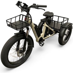 Diablo Big Foot Fatbike Driewieler Fiets E-bike Cargo - Fashion Grey Grijs - Twee accu's