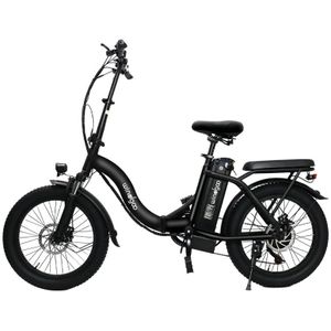 Windgoo E20 Elektrische Vouwfiets Fatbike Zwart