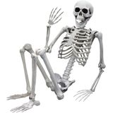 Human Size Skelet - 170cm - Realistisch Design - Halloween Decoratie - Levensecht Lijkend Skelet
