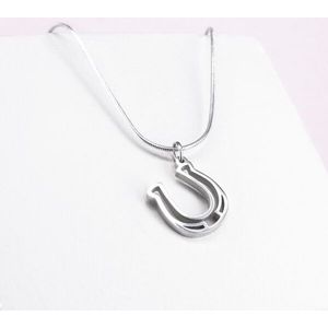 PONYTAIL & CO HANGER HOEFIJZER - Stainless Steel