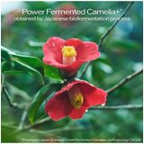 Shiseido Huidverzorging Serum Ultimune Power Infusing Concentrate 75ml