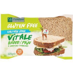 Damhert Gluten Free Vitale Brood