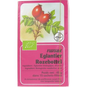 Floradix Rozenbottel Thee 15 zakjes