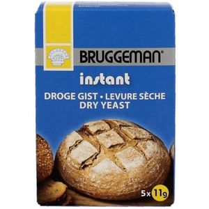 Bruggeman Instant Gist 55 gram