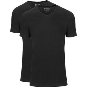 Sater 2-pack Basic Fit T-shirt V-has Zwart