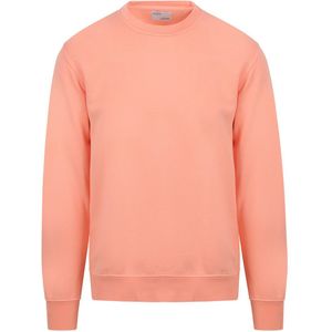 Coorfu Standard Sweater Roze
