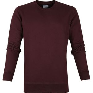 Coorfu Standard Sweater Organic Bordeaux
