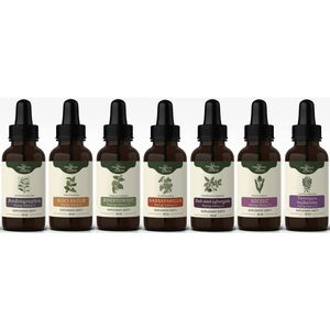 Nanga Tinctuur Protocol by Buhner Lymeziekte - 7 x 50 ml