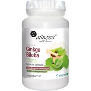 Aliness Ginkgo Biloba 120 mg - 60 tabletten