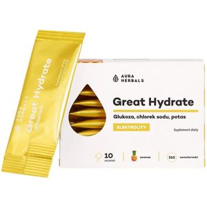 Aura Herbals Great Hydrate Elektrolyten, Ananas - 10 Zakjes