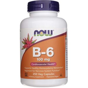 Now Foods - Vitamine B-6 - 100 mg - 250 Plantaardige Capsules