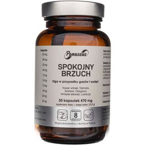 Panaseus Kalme Maag 470 mg - 50 Capsules