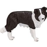 Mojo Farmland Border Collie - 387203