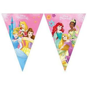 Papieren Vlaggenlijn FSC Disney Prinses Live Your Story, 3mtr.