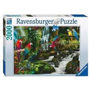 Bonte Papegaaien in de Jungle Puzzel (2000 stukjes)