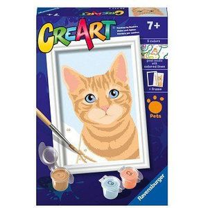 CreArt Schilderen op Nummer - Oranje Tabby