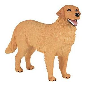 Mojo Farmland Golden Retriever - 387198