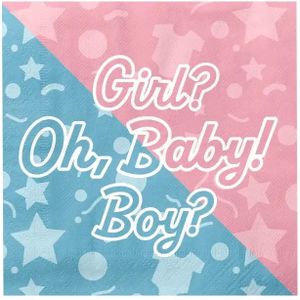 Paper Dreams Servetten Gender Reveal 33x33cm - 16st