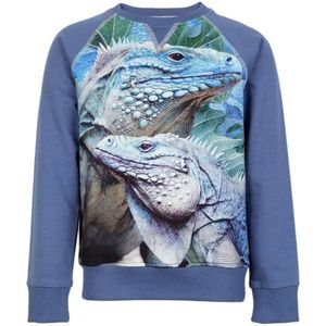 Wild Kidswear Jongens Kleding Sweater Jake Iguana