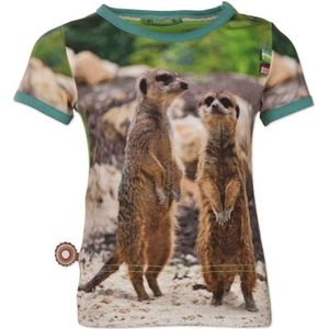 4Funkyflavours Babykleding Jongens Tshirt Brothers Gonna Work It Out