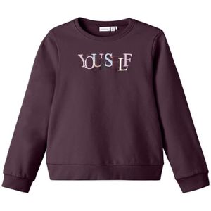 Name it Meisjes Sweater Naself Fig