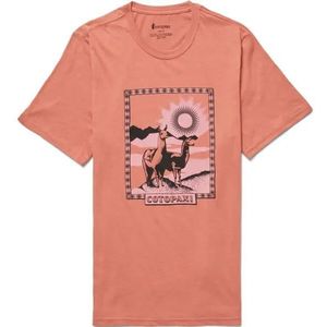 Cotopaxi Llama Greetings Organic T-Shirt Heren Faded Brick M