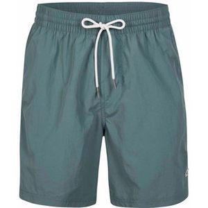 Oneill Vert 16'' Zwembroek Heren Shorts North Atlantic XL