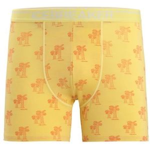 Icebreaker Anatomica Heren Ondergoed Summer/Aop S