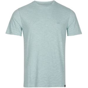 Oneill Mini Stripe Heren T-shirt Aquifer M