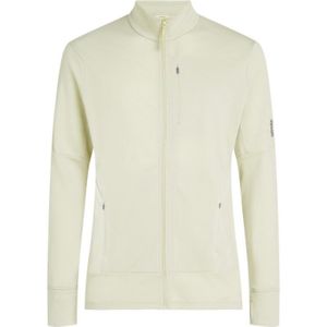 Icebreaker 260 Quantum IV LS Zip Vest Heren Ashen S