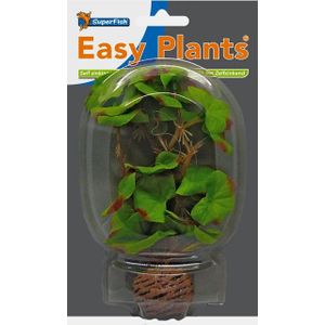 Easy plants small 13cm nr.1 zijde