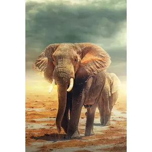 Afrika Olifant Schilderij Fleece Canvas Print Niet-geweven 5 Delen Afrika Olifant Schilderij Fleece Canvas Print Niet-geweven 5 Delen
