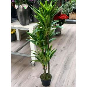 Kunstplant Dracaena lemon lime - h120cm