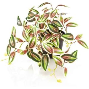 Kunstplant Tradescantia Groen Rood in pot - 19cm