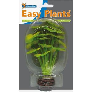 Easy plants small 13cm nr.5 zijde