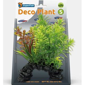 Deco plant s hottonia