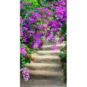 Alexsar Art Tuinschilderij bloemen trap 130x70cm