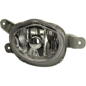 Mistlicht TYC 19-0931-05-9