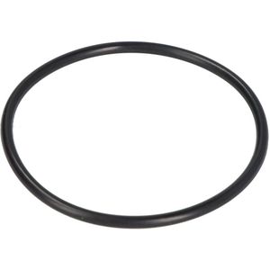 Basis O-ring PARSUN JASO-F404-31-065