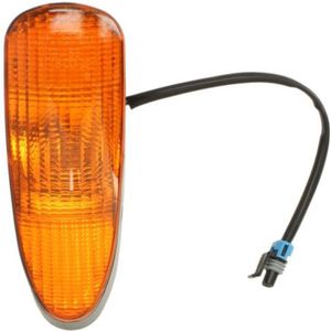 Knipperlicht vóór COBO 1011895