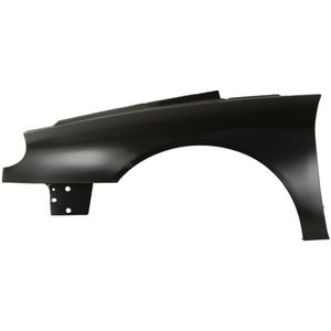 Spatbord, vóór BLIC 6504-04-6049313P, links